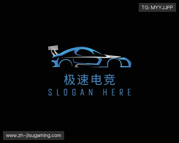 关于极速电竞公司
